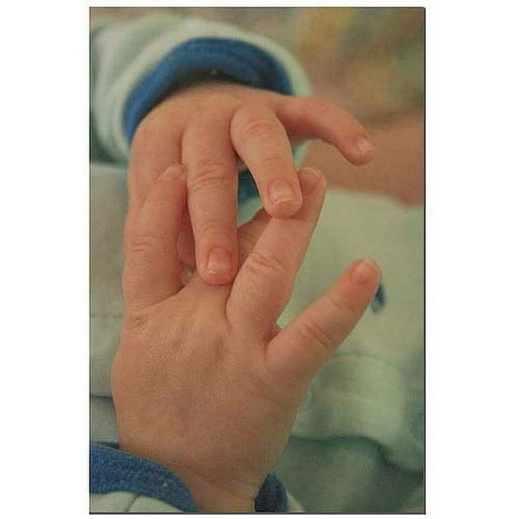 Trademark Fine Art "Baby Boy Hands" Canvas Art by Patty Tuggle, 16" x 24"