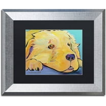 Trademark Fine Art "Baby" Canvas Art by Pat Saunders-White, Black Matte, Silver Frame