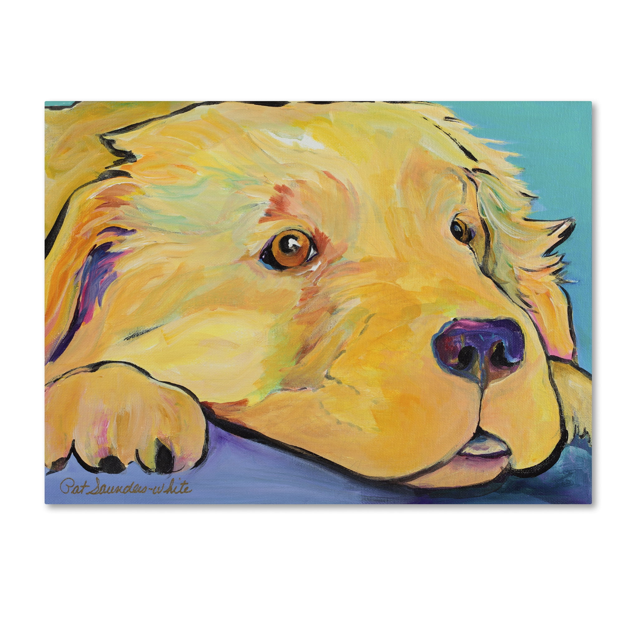 Trademark Fine Art "Baby" Canvas Art by Pat Saunders-White