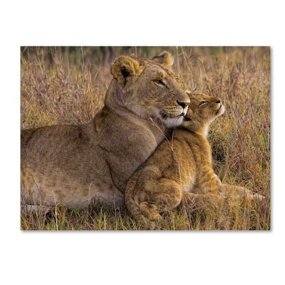 Trademark Fine Art 'Baby Lion With Mother' Canvas Art by Henry Jager