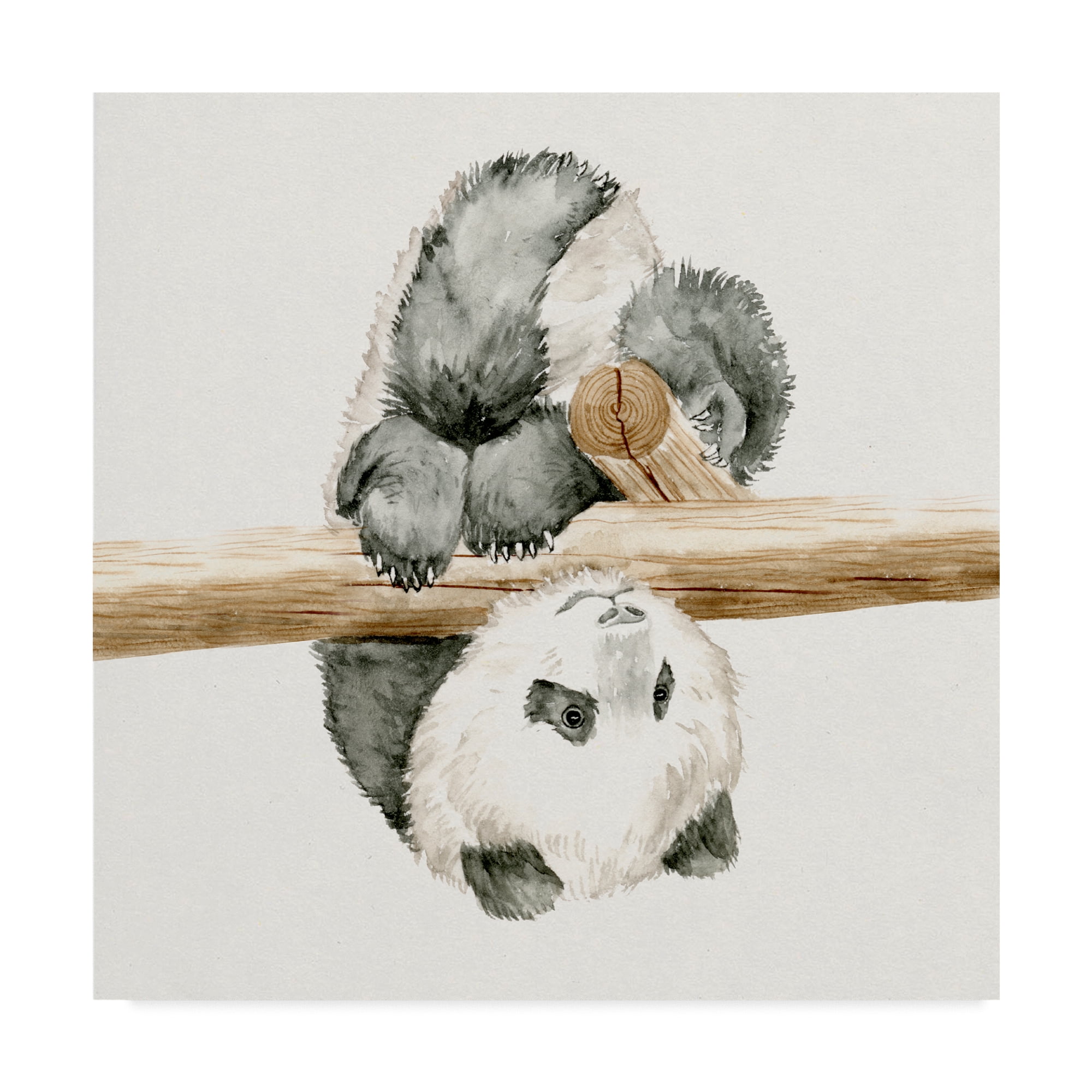 Trademark Fine Art 'Baby Panda II' Canvas Art by Melissa Wang