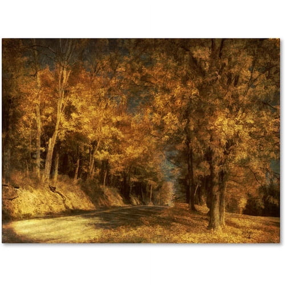 Trademark Fine Art "Back Roads" Canvas Art by Lois Bryan