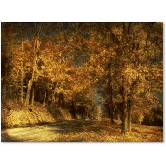 Trademark Fine Art "Back Roads" Canvas Art by Lois Bryan