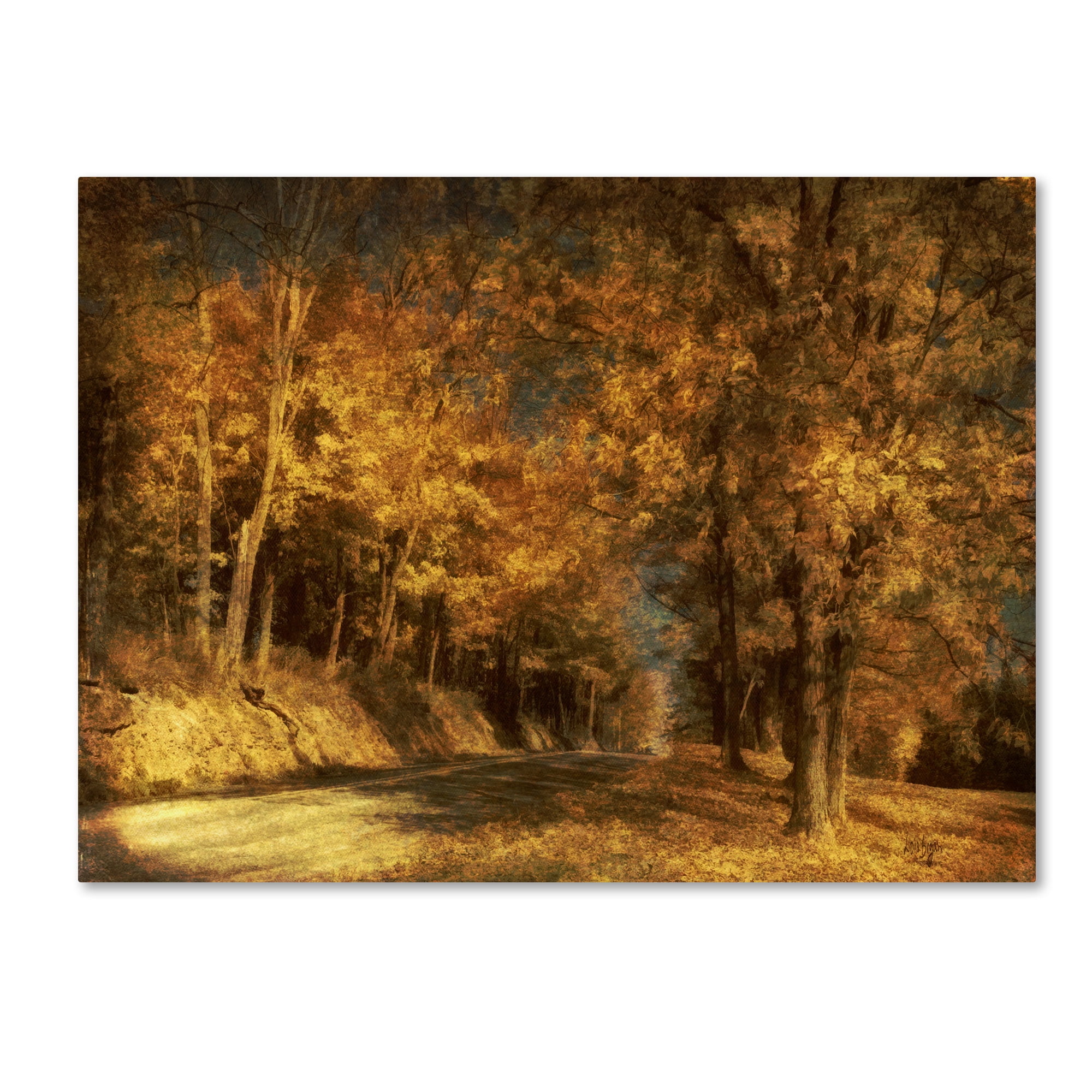 Trademark Fine Art "Back Roads" Canvas Art by Lois Bryan