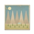 thumbnail image 1 of Trademark Fine Art 'Back to Basics' Canvas Art by Tammy Kushnir, 1 of 3