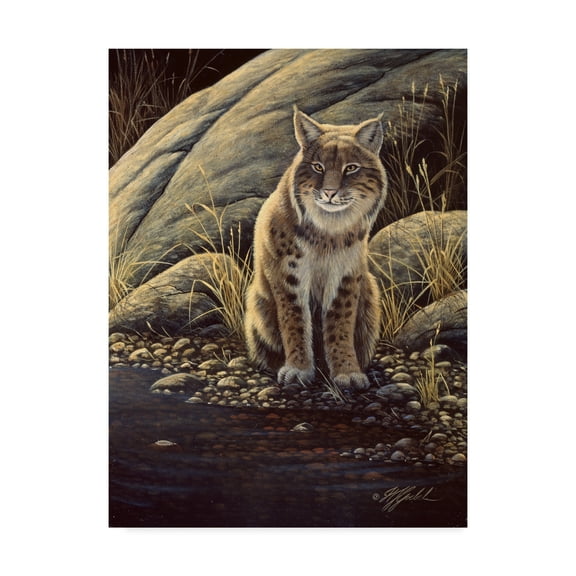 Trademark Fine Art 'Backlight Bobcat' Canvas Art by Wilhelm Goebel