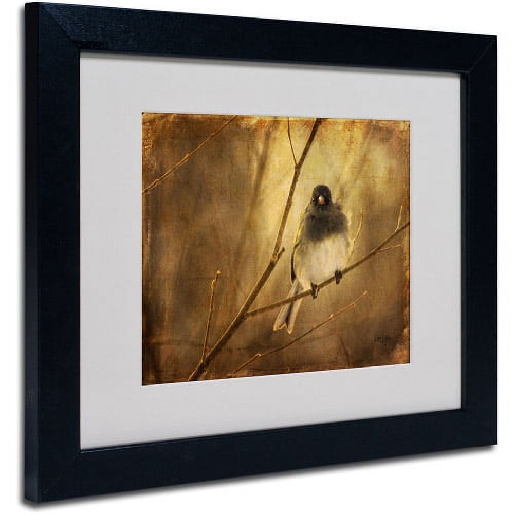 Trademark Fine Art 'Backlit Birdie Being Buffeted' Matted Framed Art by Lois Bryan