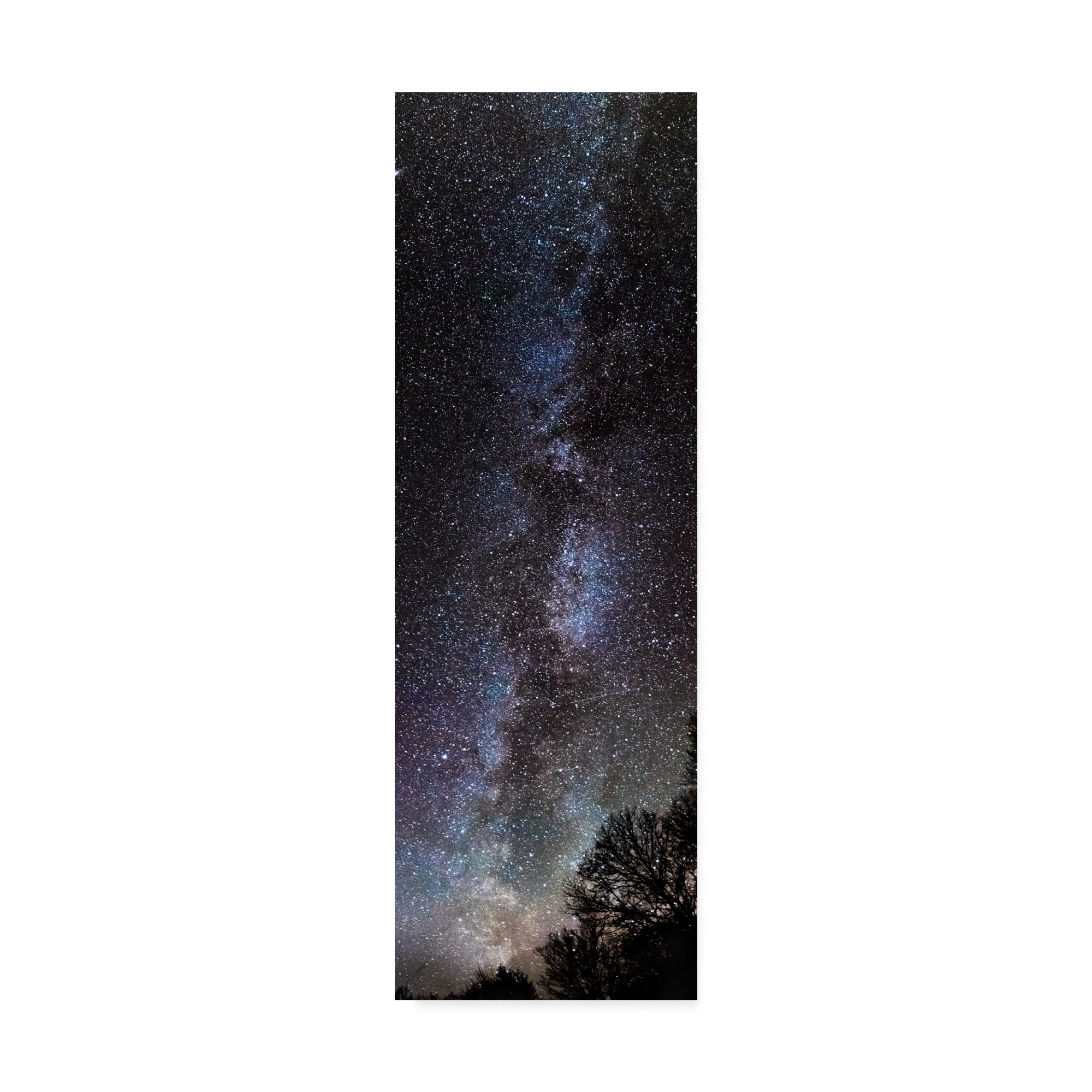 Trademark Fine Art 'Backyard Milky Way' Canvas Art by Brenda Petrella Photography Llc