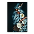 thumbnail image 1 of Trademark Fine Art 'Baking For Stargazers' Canvas Art by Dina Belenko, 1 of 3