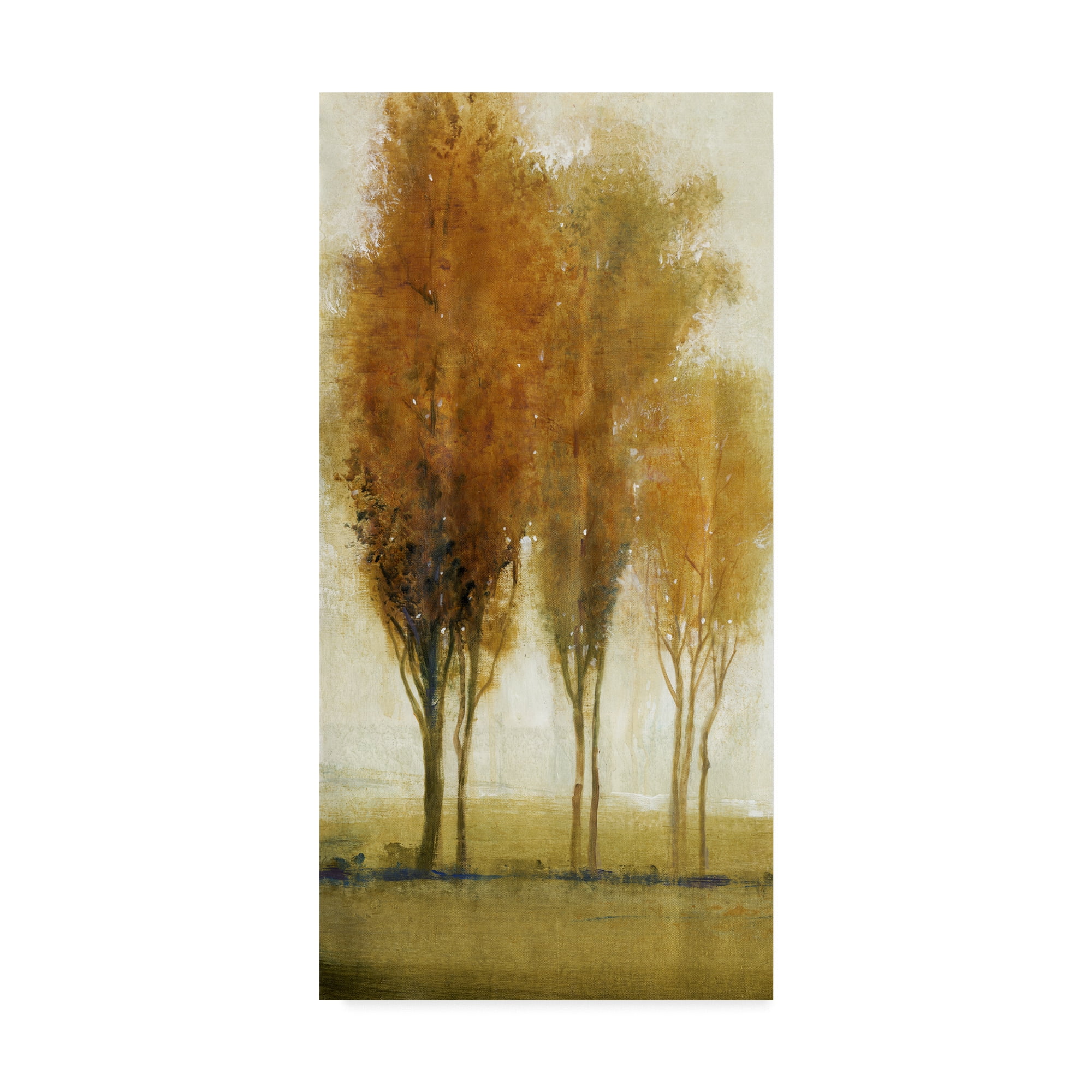 Trademark Fine Art 'Balance I' Canvas Art by Tim OToole