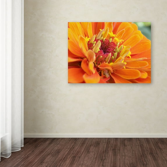 Trademark Fine Art "Balanced Beauty" Canvas Art by Monica Fleet
