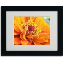 Trademark Fine Art "Balanced Beauty" by Monica Fleet, Black Frame