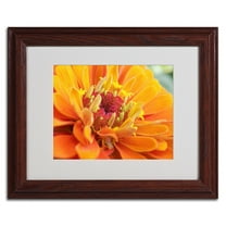 Trademark Fine Art "Balanced Beauty" by Monica Fleet, Wood Frame