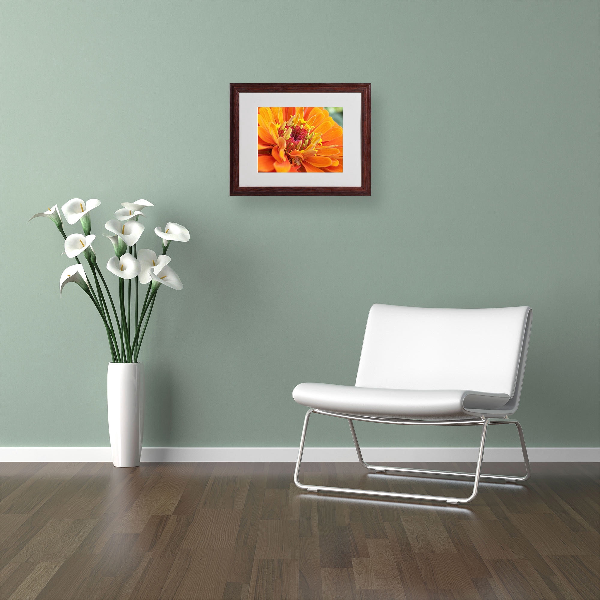 Trademark Fine Art "Balanced Beauty" by Monica Fleet, Wood Frame