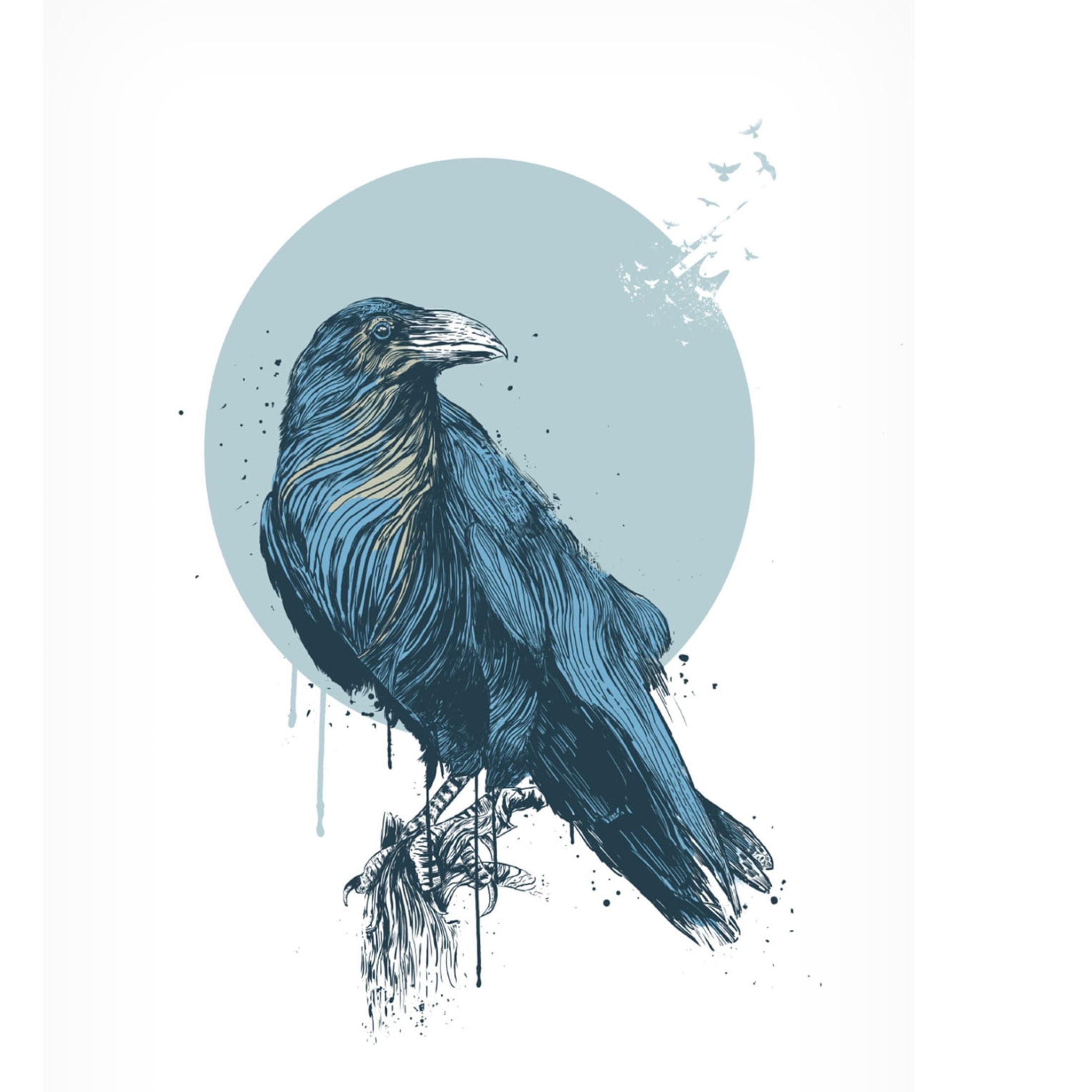 Trademark Fine Art Balazs Solti Blue crow Canvas Wall Art