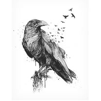 Trademark Fine Art Balazs Solti  Born to be free Canvas Wall Art