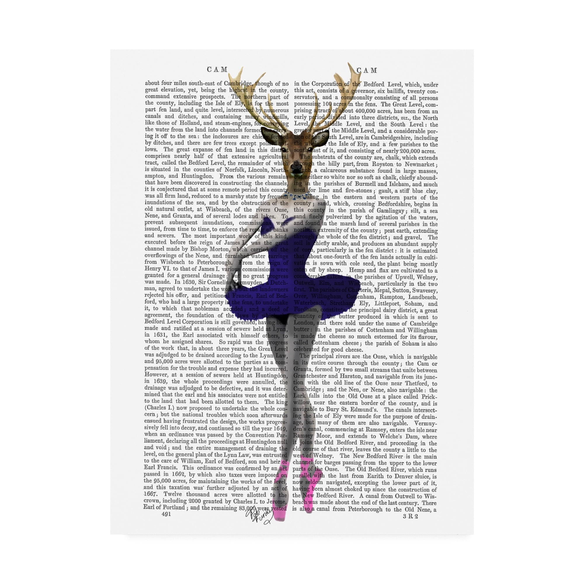 Trademark Fine Art 'Ballet Deer in Blue' Canvas Art by Fab Funky