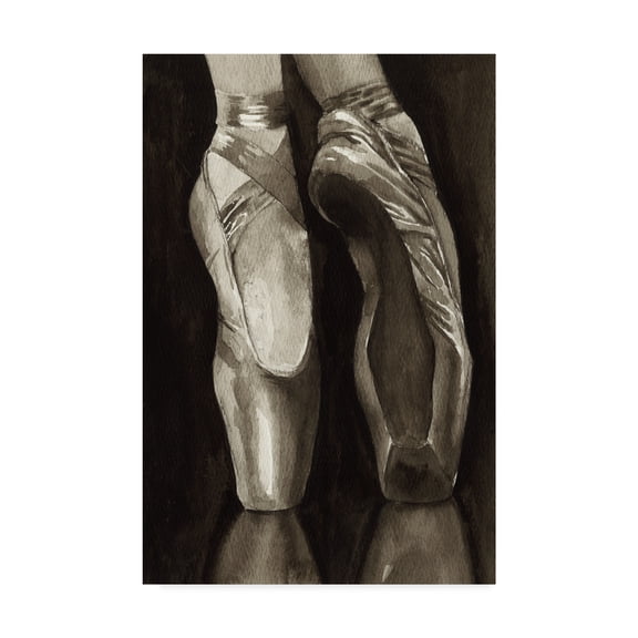Trademark Fine Art 'Ballet Shoes I' Canvas Art by Grace Popp