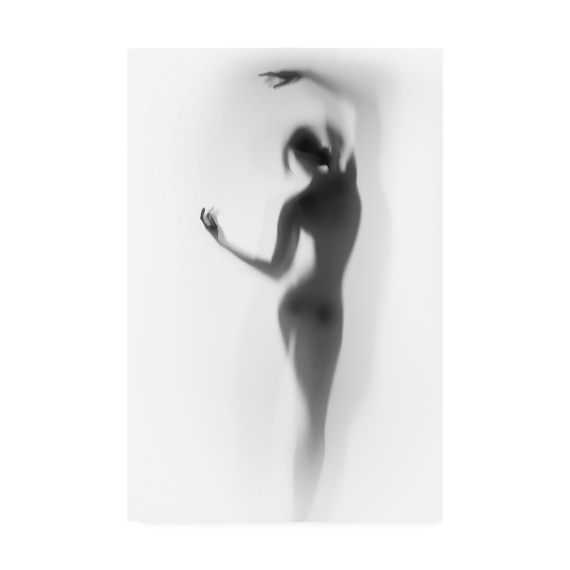 Trademark Fine Art 'Ballet Silhouette' Canvas Art by Incado