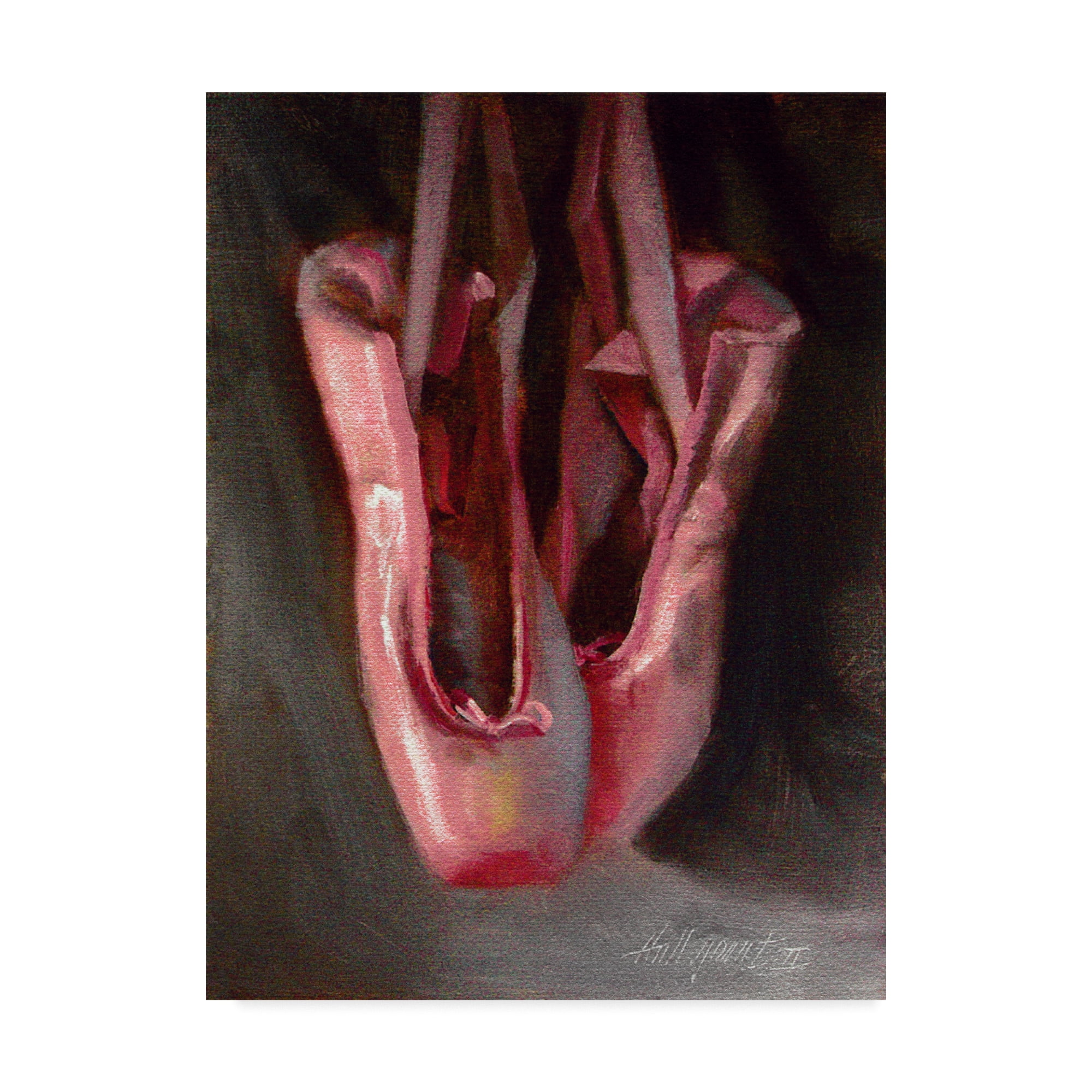 Trademark Fine Art 'Ballet Slippers 2' Canvas Art by Hall Groat Ii