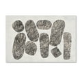 thumbnail image 1 of Trademark Fine Art 'Ballinglen Warm Crop' Canvas Art by Piper Rhue, 1 of 3