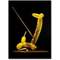 thumbnail image 1 of Trademark Fine Art "Balloon Giraffe" Canvas Art by Roderick Stevens, 1 of 1
