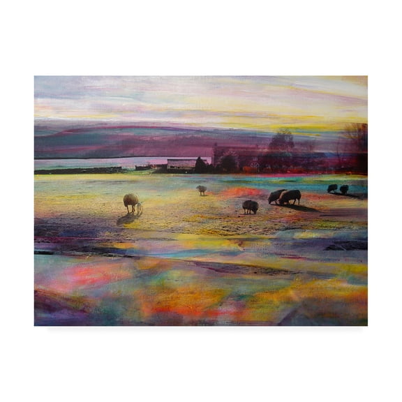 Trademark Fine Art 'Balmy Summers Evening' Canvas Art by Kate Boyc