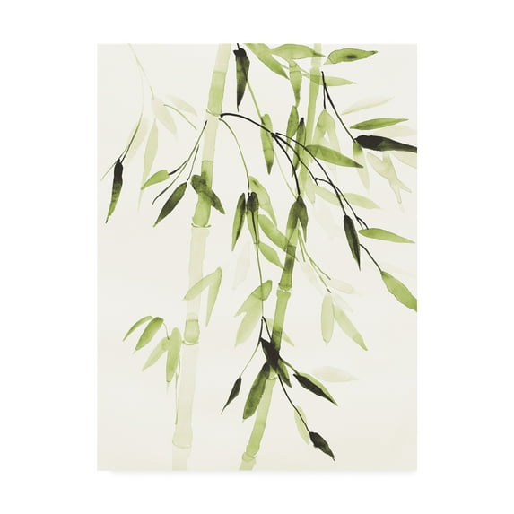 Trademark Fine Art 'Bamboo Leaves V Green' Canvas Art by Danhui Nai