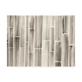 thumbnail image 1 of Trademark Fine Art 'Bamboo Pattern' Canvas Art by Danhui Nai, 1 of 3