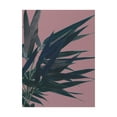 thumbnail image 1 of Trademark Fine Art 'Bamboo Pink I' Canvas Art by Ren?e W. Stramel, 1 of 3