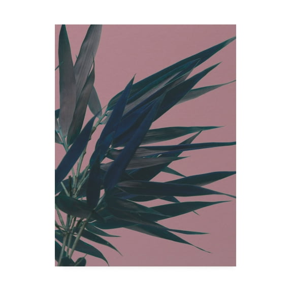 Trademark Fine Art 'Bamboo Pink I' Canvas Art by Ren?e W. Stramel