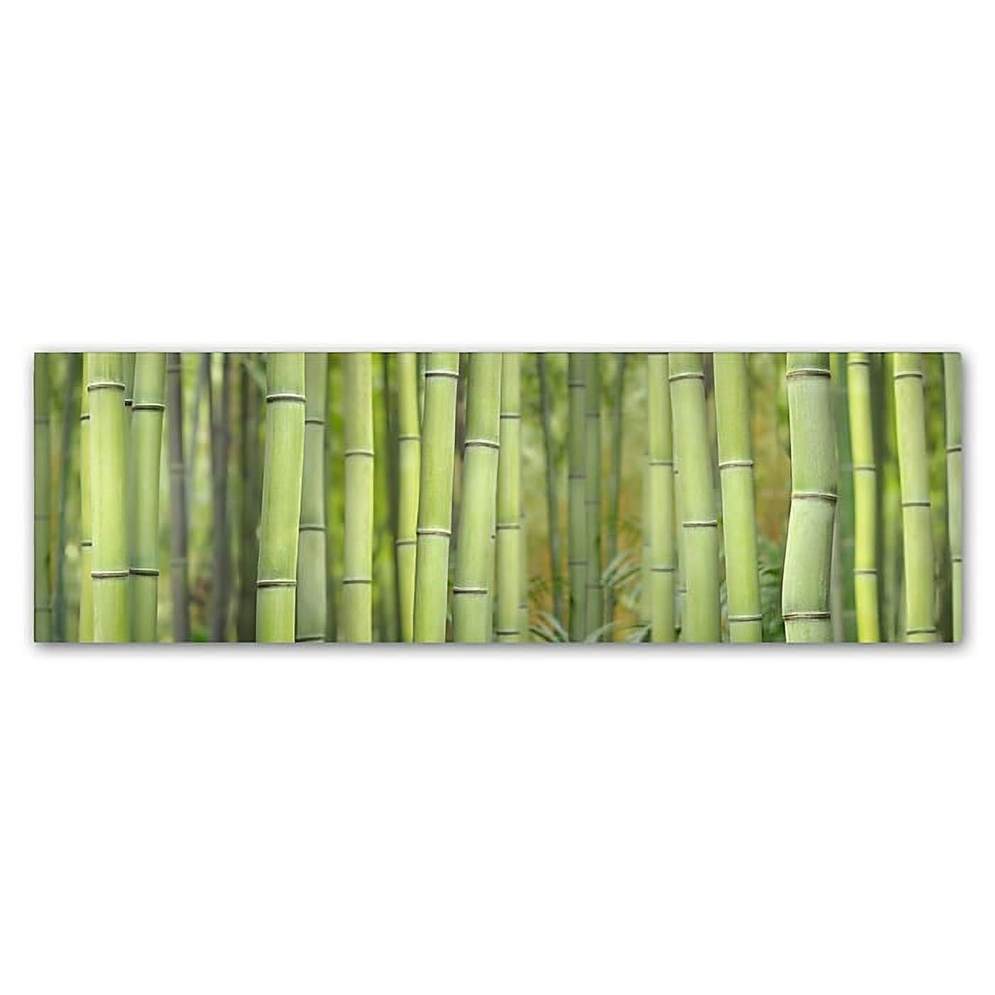 Green Bamboo Forest Abstract Canvas Print with Hidden Frame