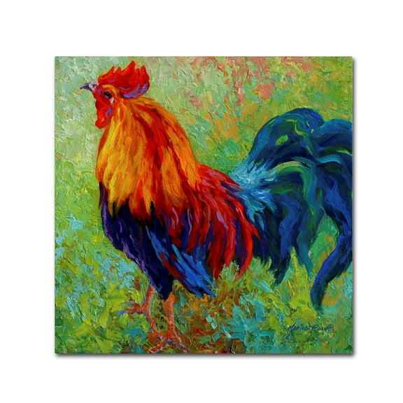 Trademark Fine Art 'Band Of Gold Rooster' Canvas Art by Marion Rose