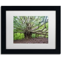 Trademark Fine Art "Banyan" Canvas Art by Pierre Leclerc, White Matte/Black Frame