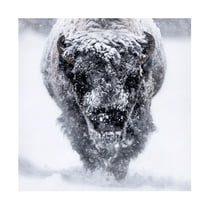 Trademark Fine Art Barbara Gill Headed. Your Way. Canvas Wall Art