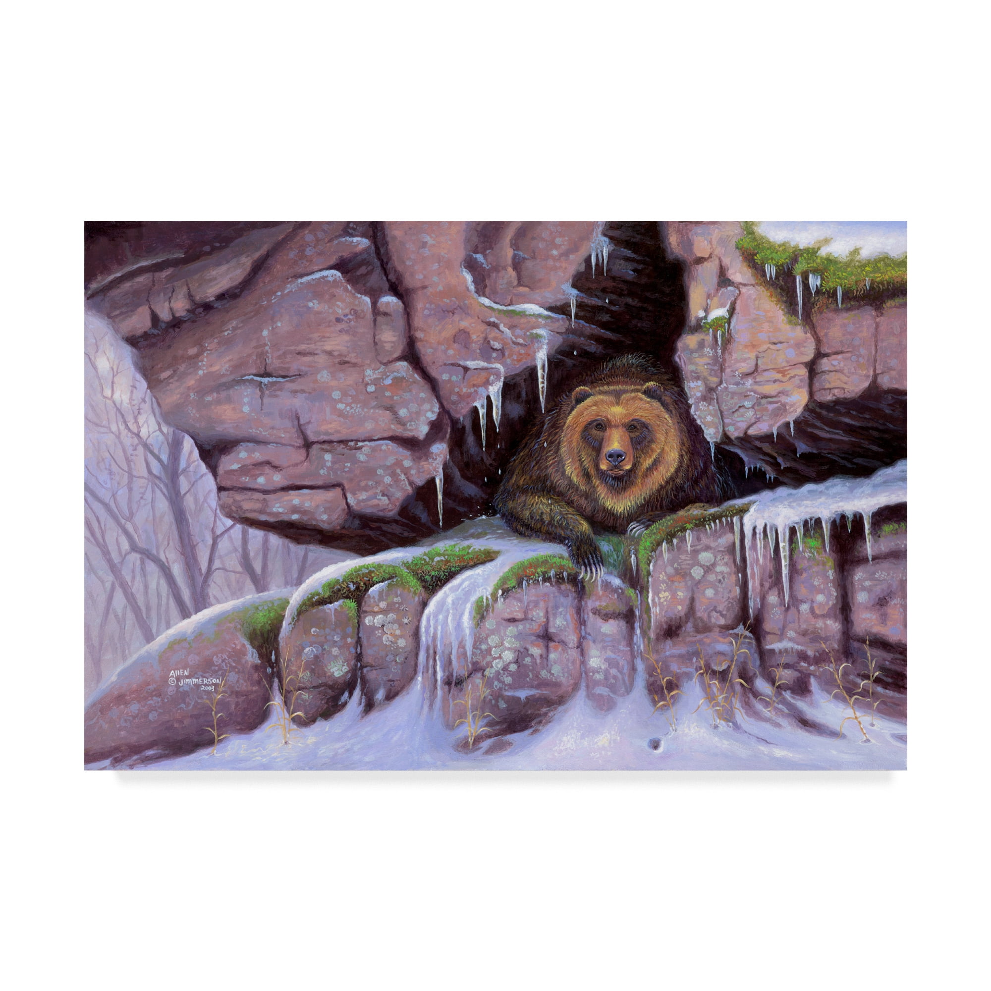 Trademark Fine Art 'Barely Awake' Canvas Art by Allen Jimmerson