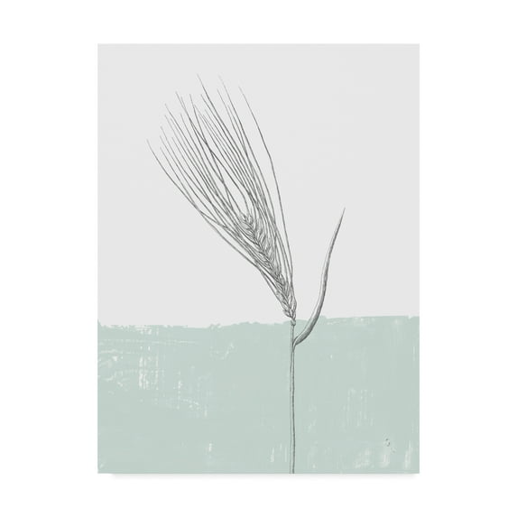 Trademark Fine Art 'Barley' Canvas Art by Sarah Adams
