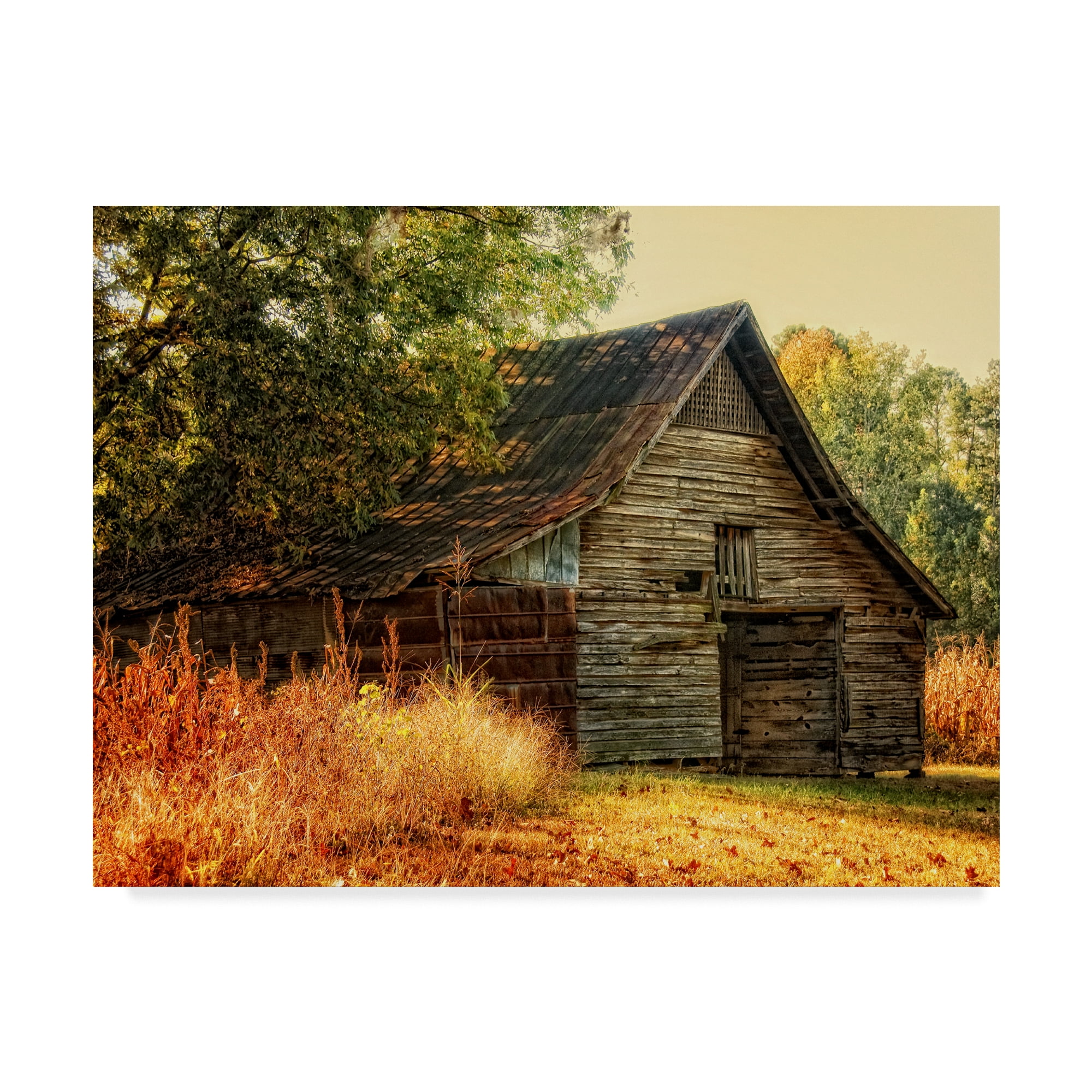 Trademark Fine Art 'Barn Loft Memories' Canvas Art by Danny Head