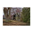 thumbnail image 1 of Trademark Fine Art 'Barn Shell' Canvas Art by Lori Hutchison, 1 of 3