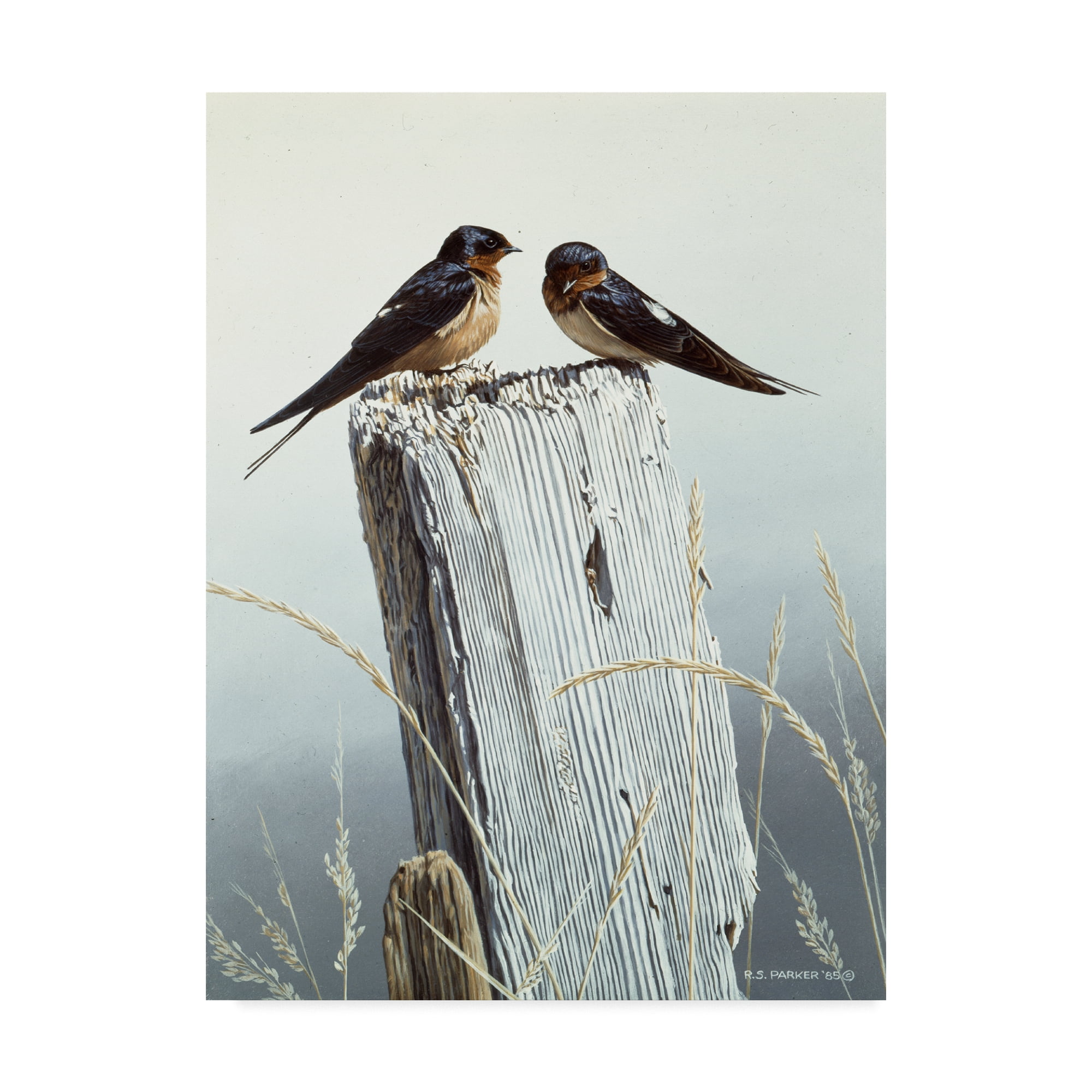 Modern 18x24 Framed Canvas Art with Barn Swallows