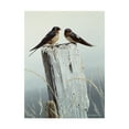 thumbnail image 1 of Trademark Fine Art 'Barn Swallows On Fence Post' Canvas Art by Ron Parker, 1 of 3