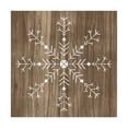 thumbnail image 1 of Trademark Fine Art 'Barnwood Wonderland I' Canvas Art by June Erica Vess, 1 of 4