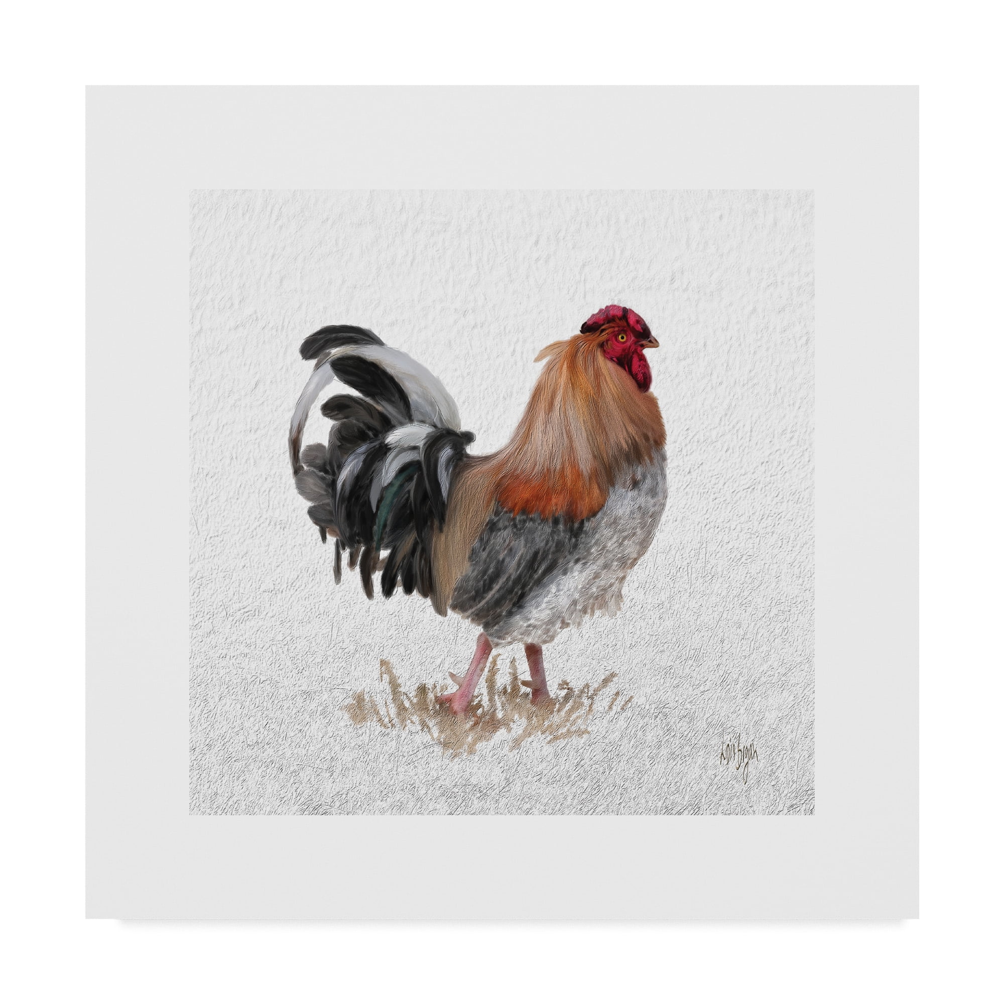 Trademark Fine Art 'Barnyard Boss' Canvas Art by Lois Bryan
