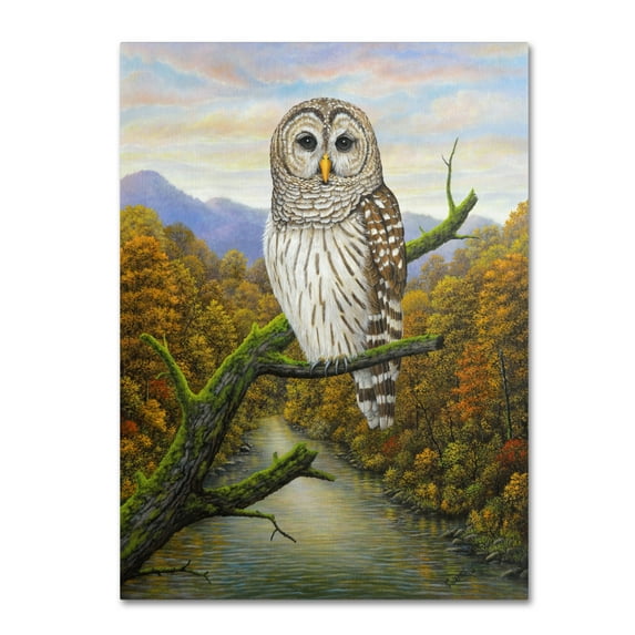 Trademark Fine Art 'Barred Owl' Canvas Art by Robert Wavra
