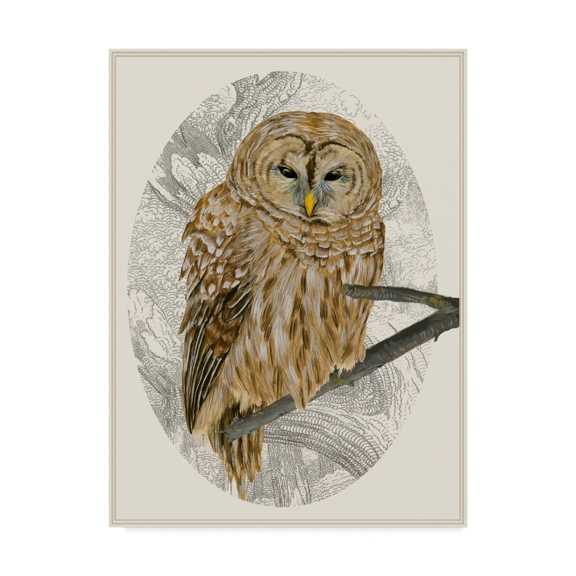 Traditional 14 x 19 Tan and Gray Canvas Owl Print