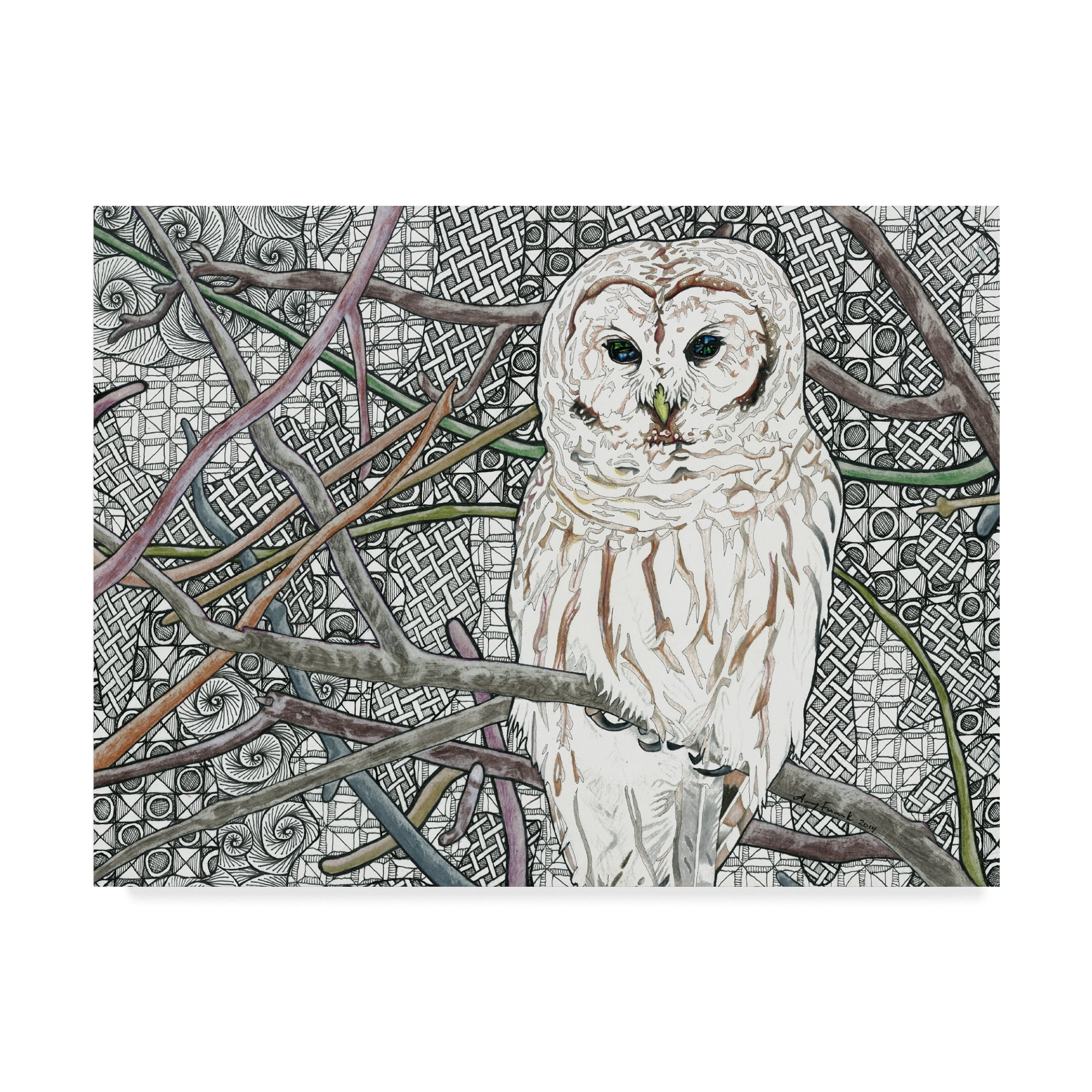Trademark Fine Art 'Barred Owl White' Canvas Art by Amy Frank