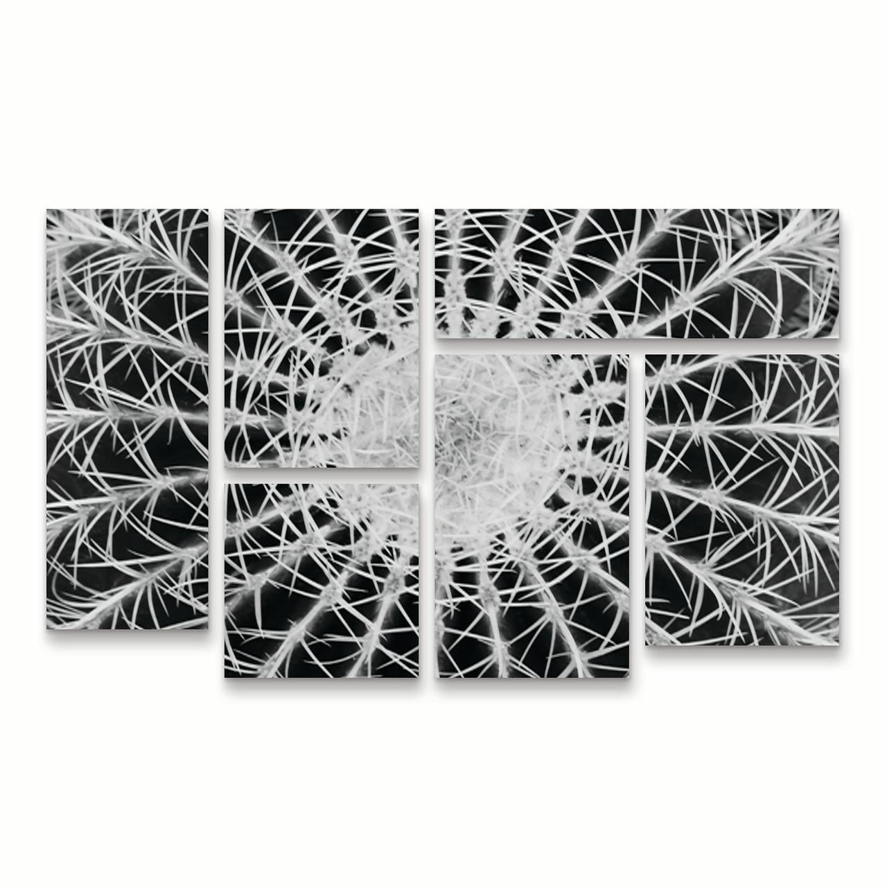 Trademark Fine Art 'Barrel Cactus' Canvas Art by Kurt Shaffer