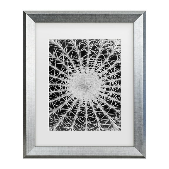 Trademark Fine Art 'Barrel Cactus' Canvas Art by Kurt Shaffer