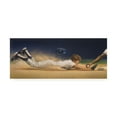 thumbnail image 1 of Trademark Fine Art 'Baseball Player' Canvas Art by Dan Craig, 1 of 3