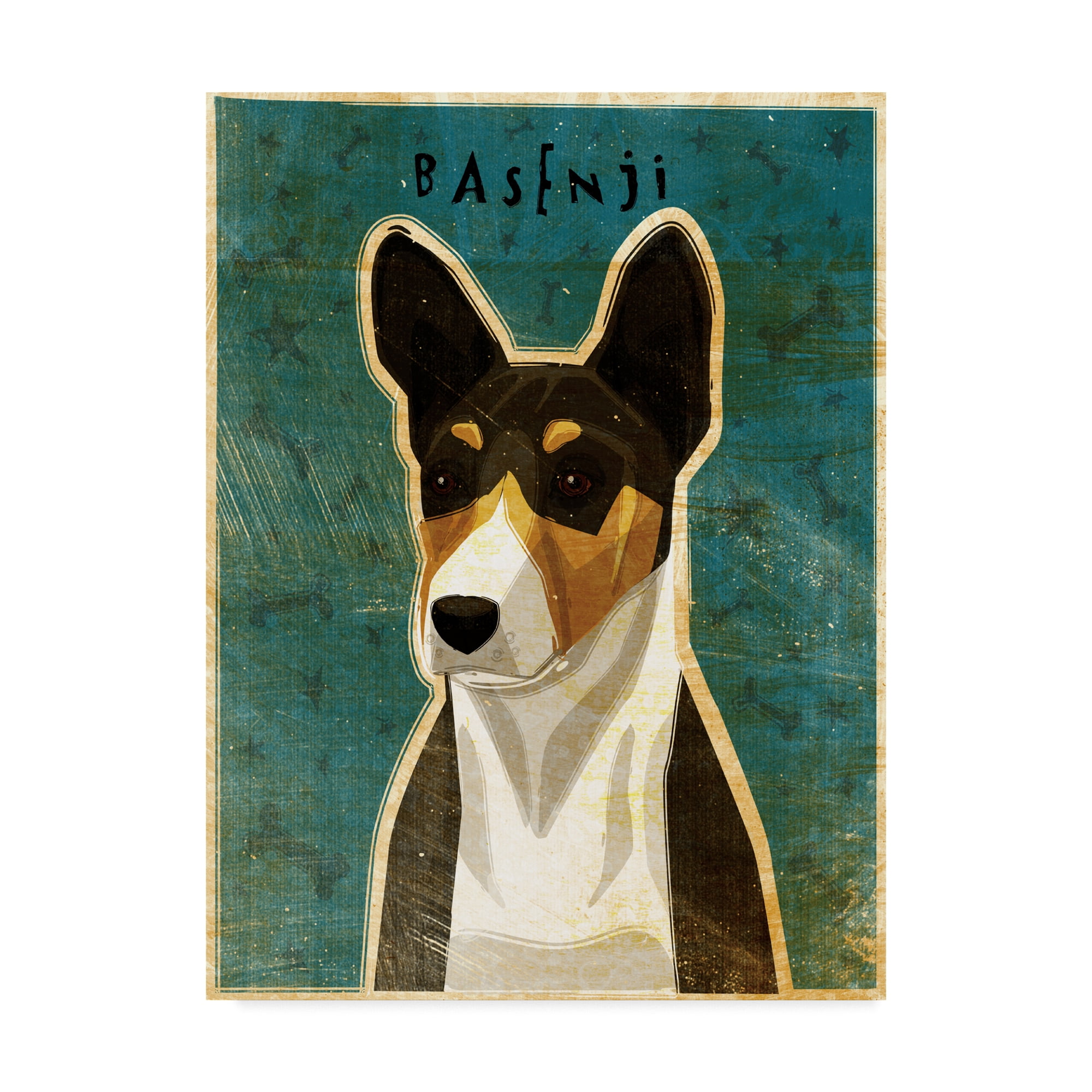 Basenji tri best sale
